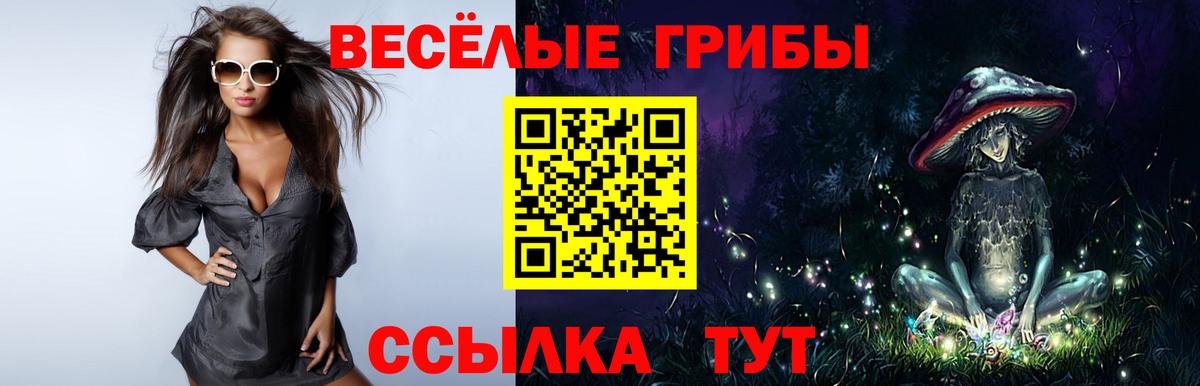 Богородицк  Псилоцибиновые грибы Psilocybine cubensis  Галлюциногенные грибы прущие грибы  наркотики  Вход с VPN 